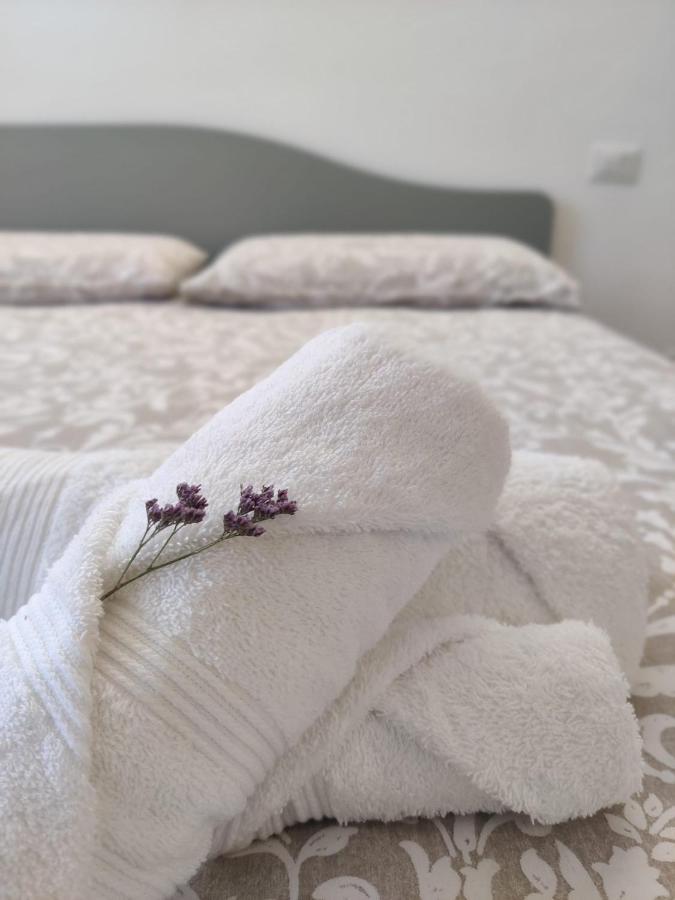 Casa Camelia - Appartamento In Centro A Seregno Eksteriør billede
